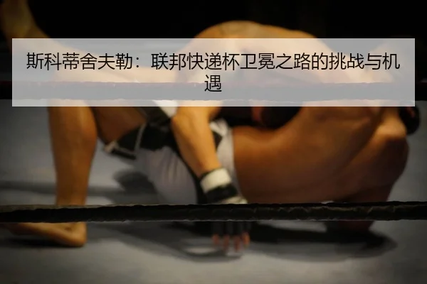 si-ke-di-she-fu-lei-lian-bang-kuai-di-bei-wei-mian-zhi-lu-de-tiao-zhan-yu-ji-yu-2-811.jpg